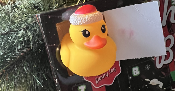 Spreading Joy, One Duckie At A Time image