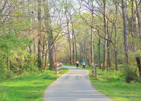 Create PAUSE Counselling & Wellness Walk & Talk Counselling