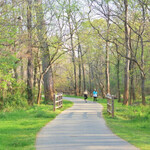 Create PAUSE Counselling & Wellness Walk & Talk Counselling