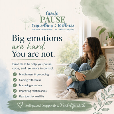 Link to: https://createpauselearninghub.com/collection/dbt-pause-packs